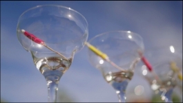 Stranded On Honeymoon Island Au - Season 01 Episode 05